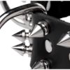 Picture of Strict Leather Spiked Dog Collar