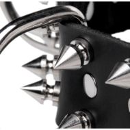 Picture of Strict Leather Spiked Dog Collar