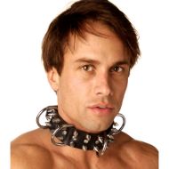 Picture of Strict Leather Spiked Dog Collar