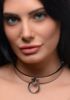 Picture of Chrome Slave Collar - MediumLarge