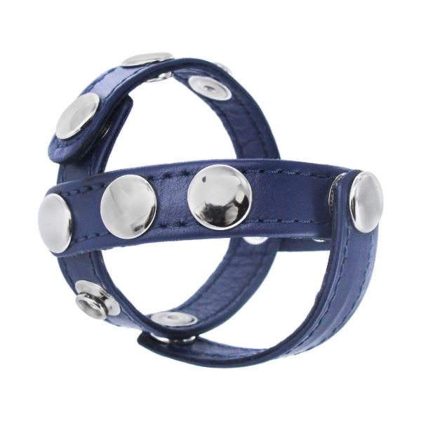 Picture of Blue Leather Cock and Ball Harness