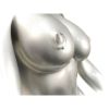Picture of Pierceless Nipple Ring