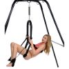 Picture of Trinity Ultimate Sex Swing Stand