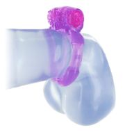 Picture of Euphoria Couples Kit