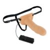 Picture of Size Matters Erection Assist Hollow Strap-On Vibe