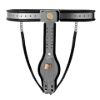 Picture of Locking Steel Female Chastity Belt - Small