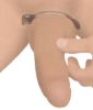 Picture of Size Matters Endurance Penis Ring Set - Clear