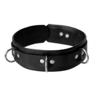 Picture of Sick Puppy Leash and Collar Kit