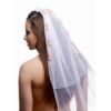 Picture of Bachelorette Party Penis Bridal Veil