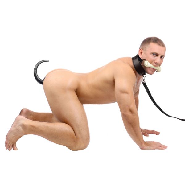 Picture of Intro to Puppy Play 3 Piece Starter Kit