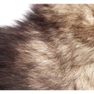 Picture of Untamed XL Fox Tail Anal Plug