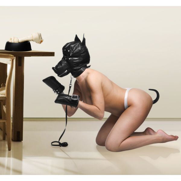 Picture of Deluxe Puppy Play Essentials Kit