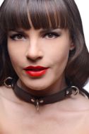 Picture of Slim Adjustable Snap Collar with D-Rings