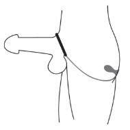 Picture of Rover Silicone Cock Ring and Prostate Plug