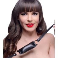 Picture of Padded Pillow Mouth Gag