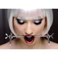 Picture of Adjustable Stainless Steel Ball Gag Head Harness