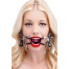 Picture of Ratchet Style Jennings Mouth Gag with Strap