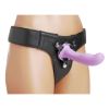 Picture of Royal Heart On Silicone Harness Dildo