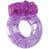 Picture of Dolphin Vibe with Vibrating Cockring Set