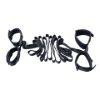 Picture of Ensnare Stretcher Restraint Set
