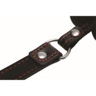 Picture of Hound Adjustable Dog Bone Gag