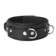 Picture of Arched Back Forced Posture Kit