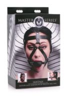 Picture of Leather Head Harness with Ball Gag