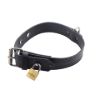 Picture of Strict Leather Luxury Locking Collar