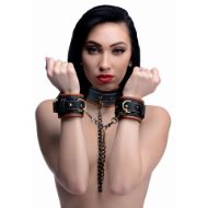 Picture of Coax Collar to Wrist Restraints
