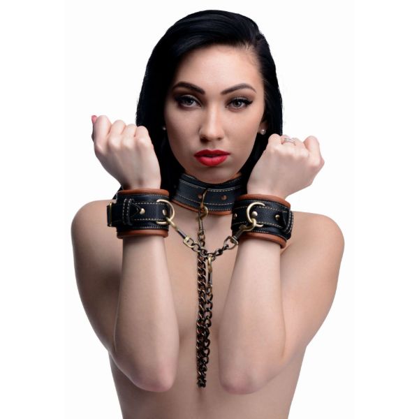 Picture of Coax Collar to Wrist Restraints