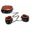 Picture of Coax Collar to Wrist Restraints