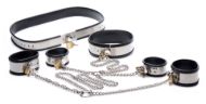 Picture of Bound In Chains Stainless Steel Restraint Set