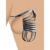 Picture of Condemned Penetration Cage with Anal Insertion