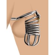 Picture of Condemned Penetration Cage with Anal Insertion