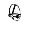 Picture of Head Harness with inch Ball Gag