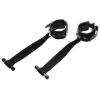 Picture of Deluxe Over the Door Restraint System