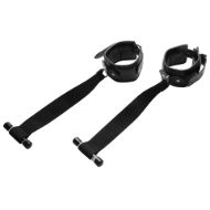Picture of Deluxe Over the Door Restraint System