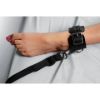 Picture of Deluxe Bed Restraint Kit