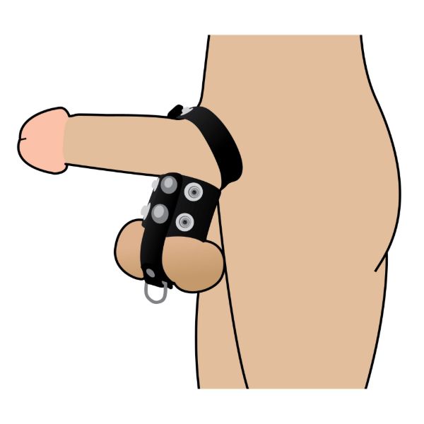 Picture of Cock Strap and Ball Stretcher