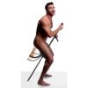 Picture of Pleasure Pole