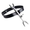 Picture of Heretics Fork