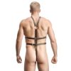 Picture of Male Full Body Harness