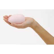 Picture of Tenga Iroha Sakura