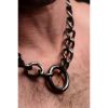 Picture of Gunmetal Collar with Lock