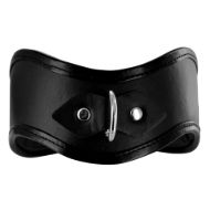 Picture of Locking Posture Collar