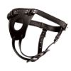 Picture of Ass Holster Anal Plug Harness