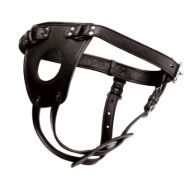 Picture of Ass Holster Anal Plug Harness