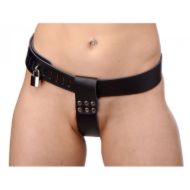 Picture of Pussy Face Female Orgasm Denial Chastity Kit