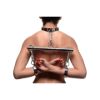 Picture of Stainless Steel Yoke with Collar and Cuffs