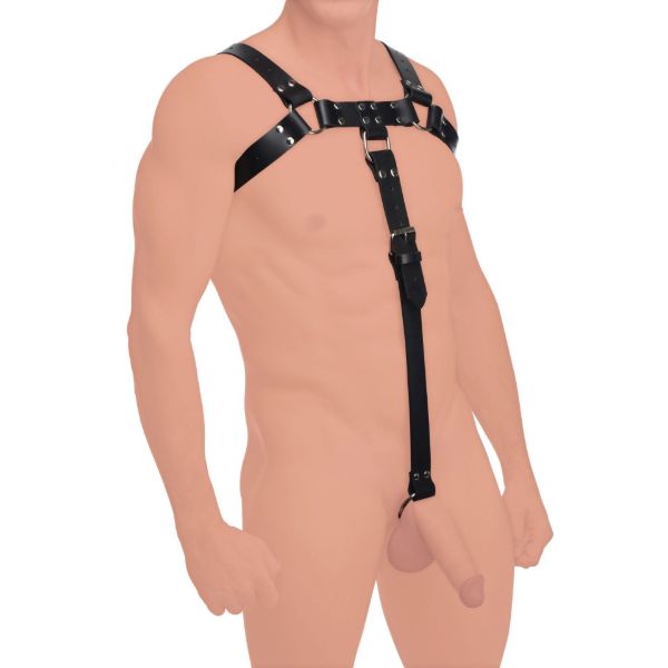 Picture of English Bull Dog Harness with Cock Strap
